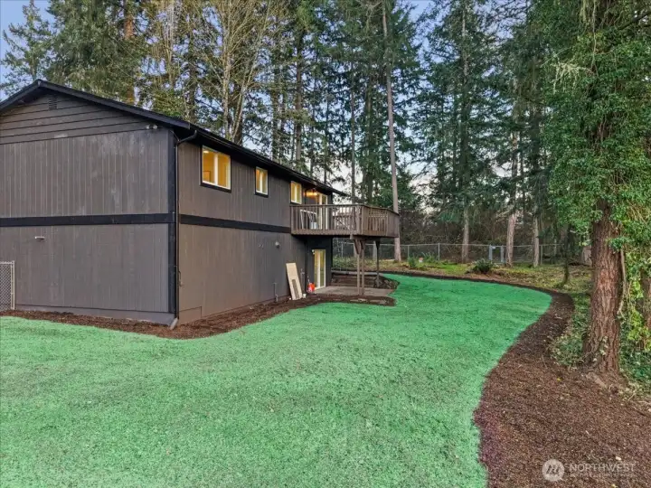 Fresh hyrdroseed to give you a beautiful lawn ready for summer time