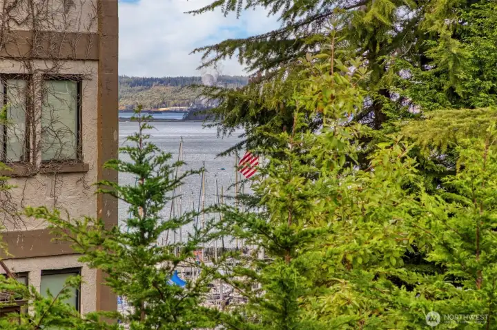Peek-a-boo views of the bay Peek-a-boo views of the bay
