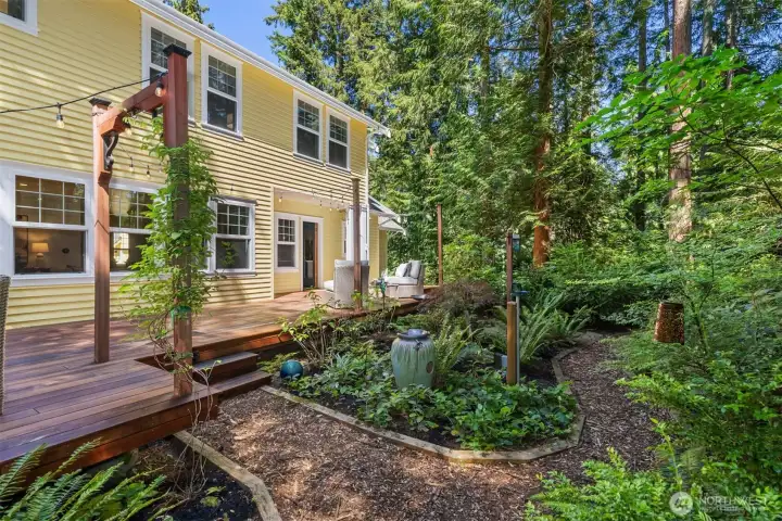 Mature plantings and walking paths surrounding the new Tigerwood deck in the back yard.