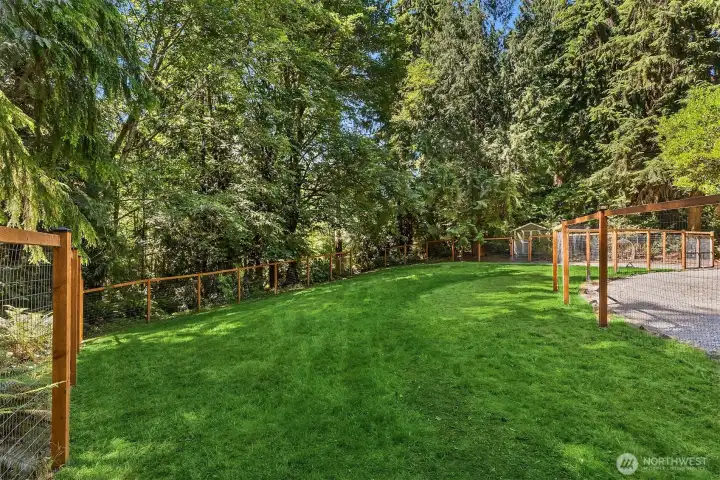 The fenced grassy area on the property.