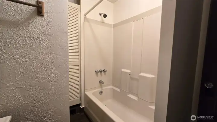 Main Bath/Shower