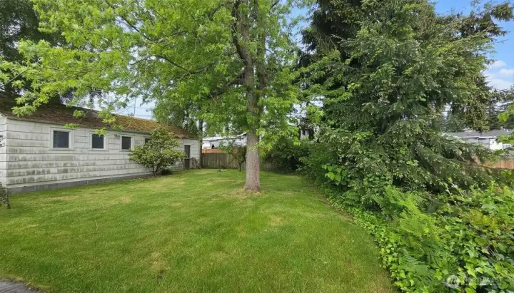 Spacious 9000 SqFt Lot