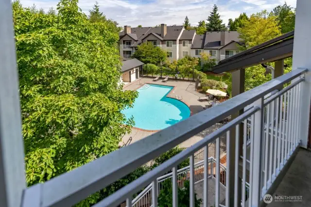 Nice view of Pool and Trees from your deck.