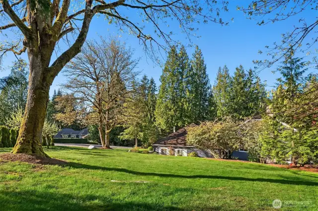 The home is situated on a corner, horse acre lot with multiple usable yard spaces.  Shown here from the Southwest side of the property is a large, level and gently sloping play space.