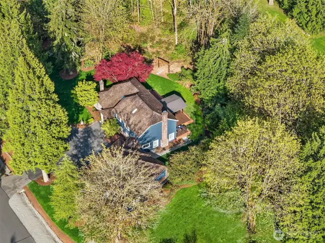 Loree Estates is situated at an ideal locale ~ perched at the crest of the hills above Lake Sammamish, with easy access to several shopping options, Downtown Issaquah, great commuter access to I-90, 405, and close proximity to the East Lake Sammamish Trail.