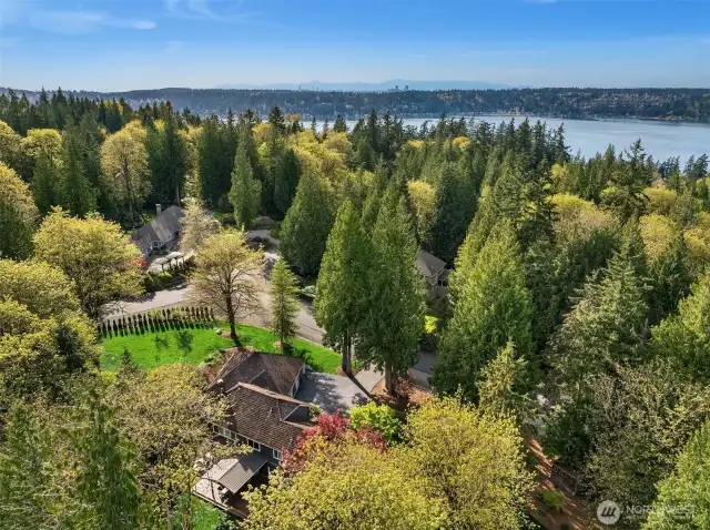 Loree Estates is situated at an ideal locale ~ perched at the crest of the hills above Lake Sammamish, with easy access to several shopping options, Downtown Issaquah, great commuter access to I-90, 405, and close proximity to the East Lake Sammamish Trail.