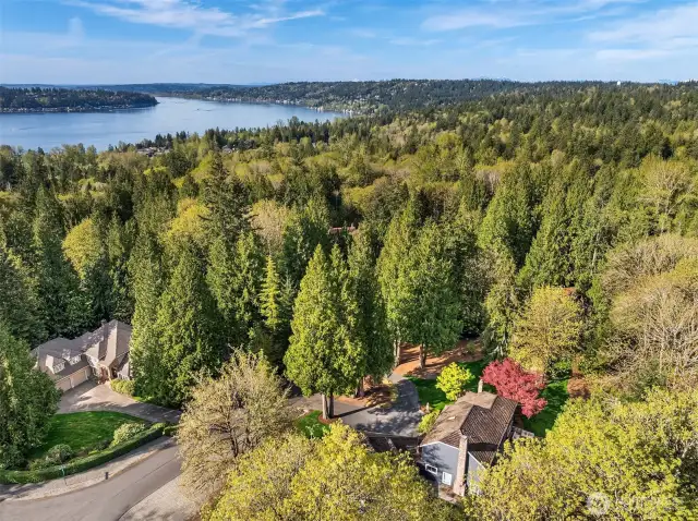 A sought after, serene neighborhood, and located in the award winning, lauded Issaquah School District (Discovery Elementary, Pine Lake Middle School, and Skyline High School).  Welcome home!