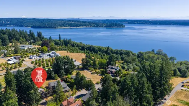 Just down the lane, a hidden community beach awaits! The trail leads you most of the way - then it’s rope ladder time for the nimble and adventurous. A true PNW experience, right in your backyard.