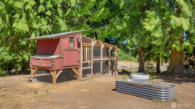 The chicken coop is a recent addition, built just a year or two ago and ready for your backyard flock. And the raised garden bed? It’s already got a tomato plant growing - your first harvest is officially underway.