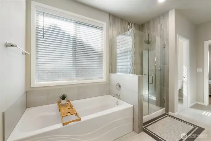 Walk in shower and separate soaking tub