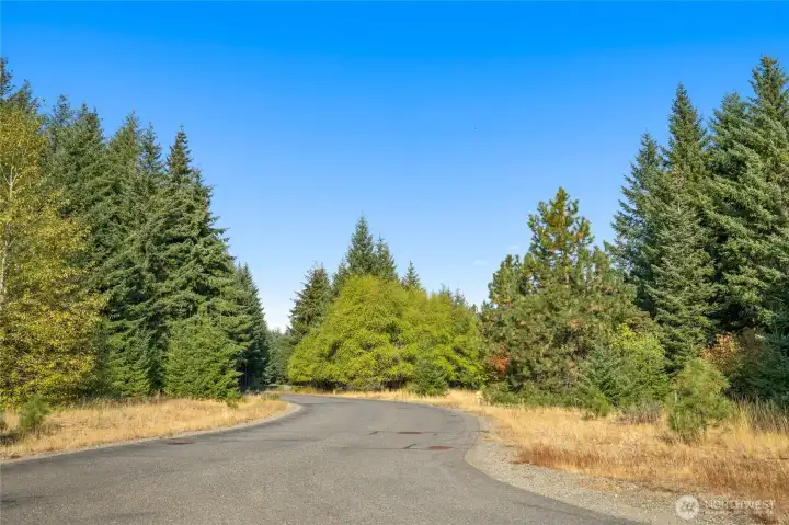 Jenkins Drive.