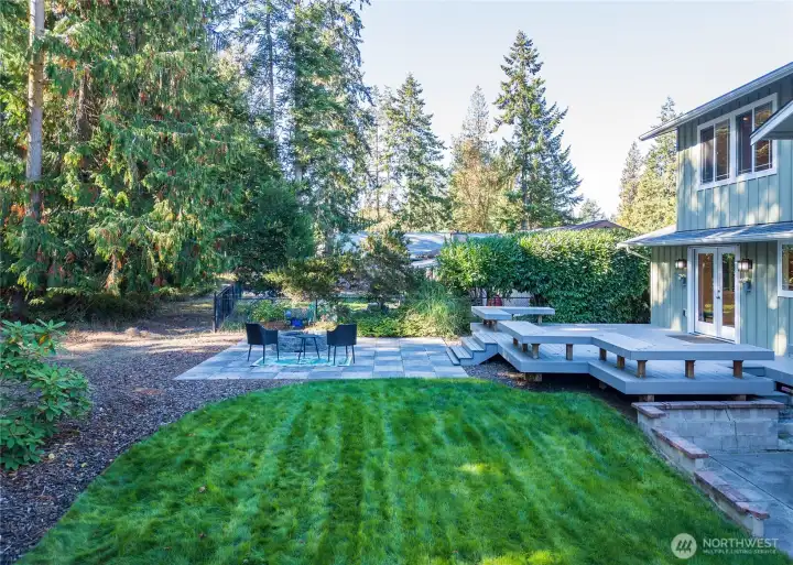 lush lawn in backyard