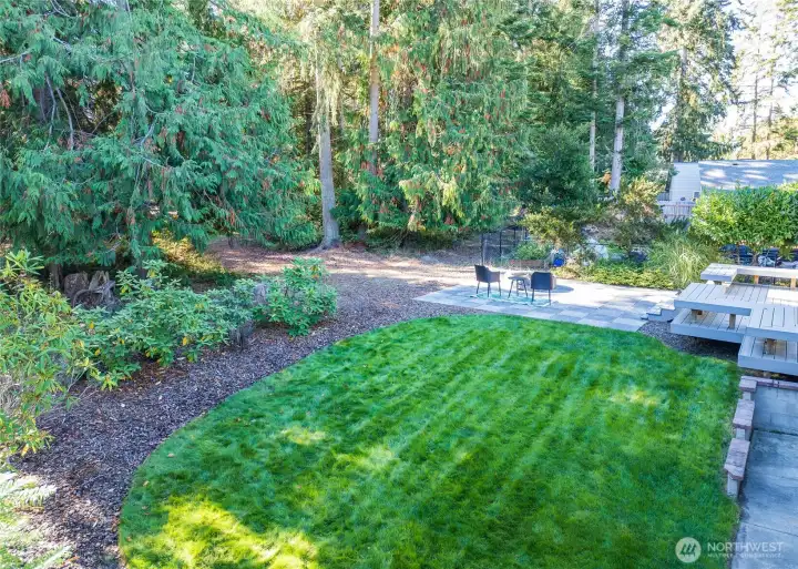 lush lawn in back