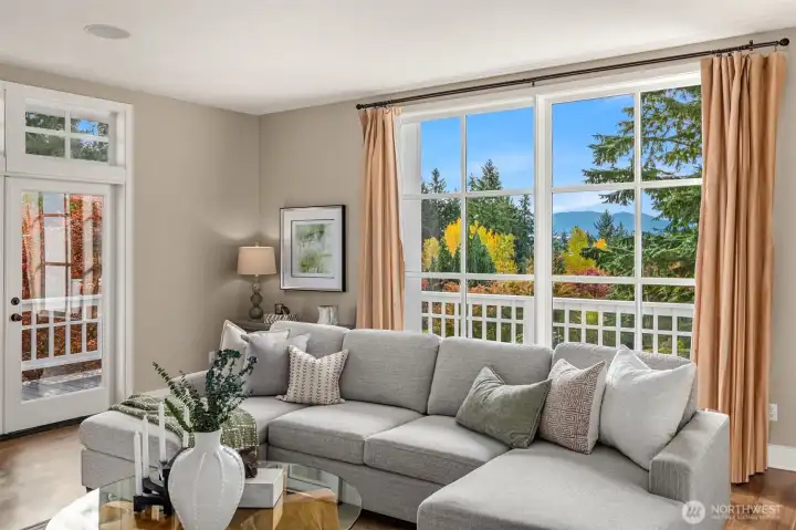 Tiger Mountain & Cascade Views