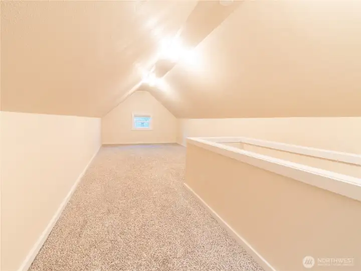 Blank canvas space can be used for your very own fitness room, work-from-home office, movie theatre room, playroom, craft room and really anything else you would like!