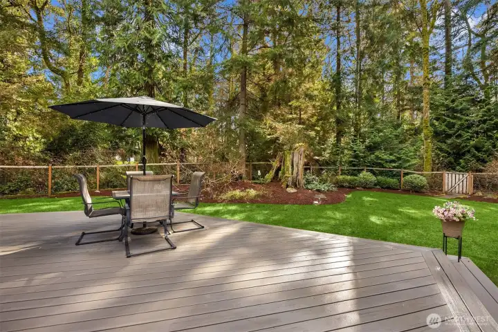 Trek deck for easy entering or dining al fresco.