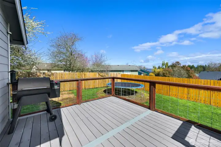 Trex Back Deck