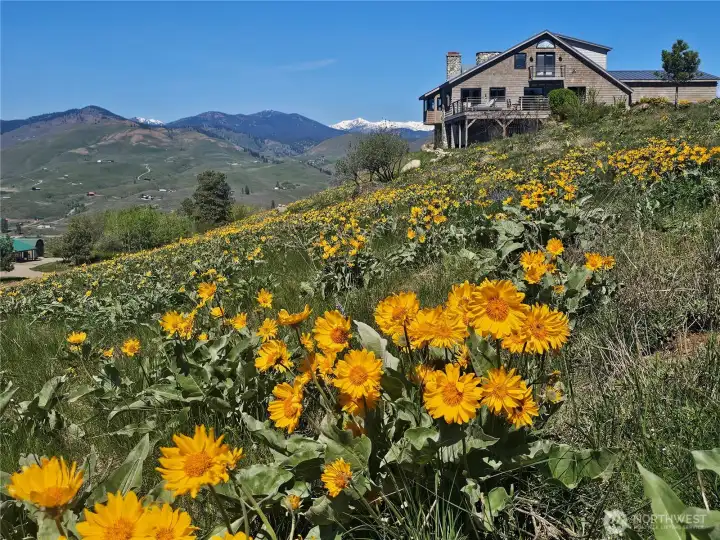 A grand home elevated above the Valley floor, this property features stunning 360 degree vistas of the North Cascades and Sawtooth mountain ranges.