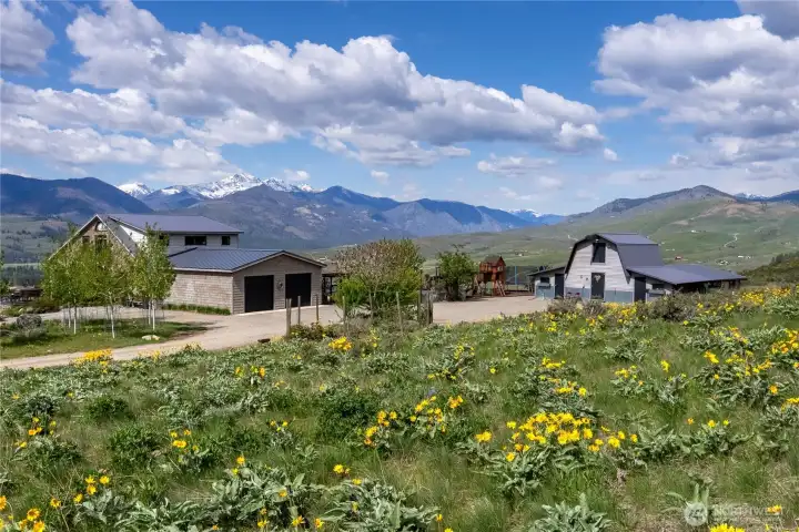 This one has it all! 2 car garage, large outbuilding that doubles as storage and shop, playground equipment for the grandchildren, views, wildflowers, mature aspens and fruit trees.  A Methow delight!
