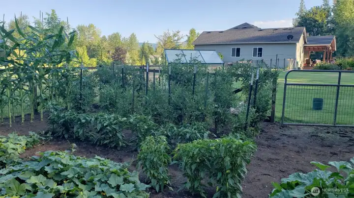 Glorious Garden Glorious Garden