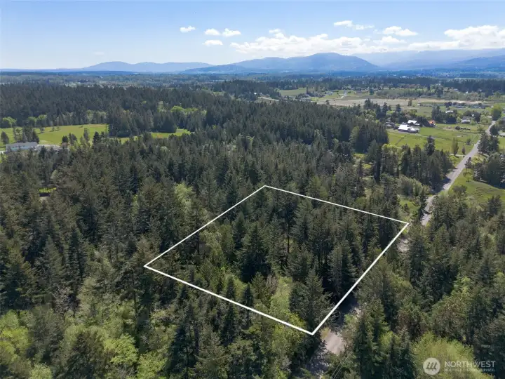 Lot lines are approximate