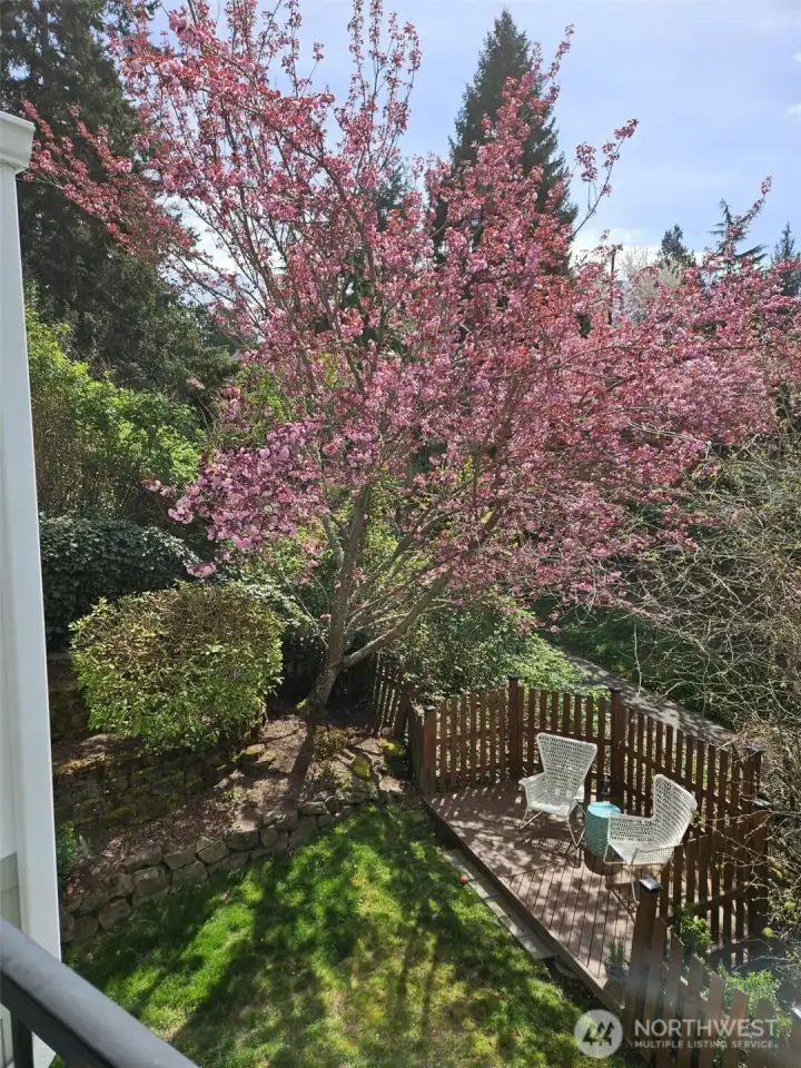 Spring has sprung!