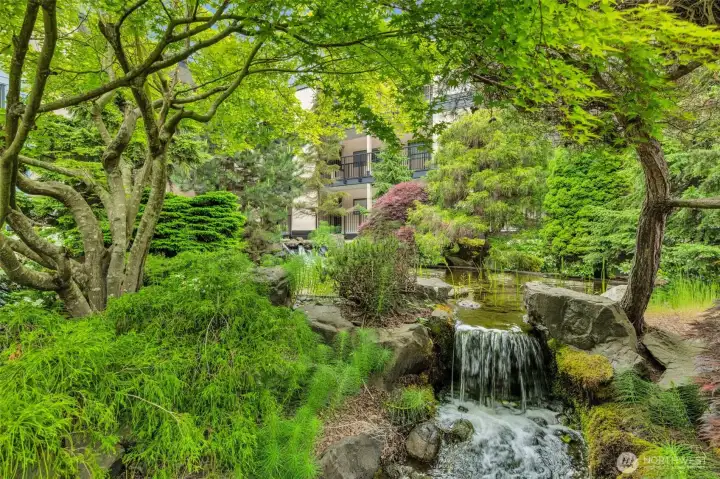 court yard Waterfalls court yard Waterfalls