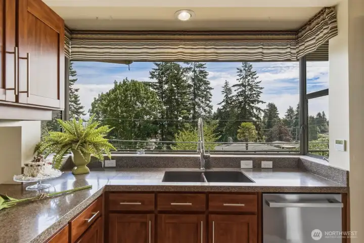Another view of the huge kitchen gardent window equipped with auto blind! Another view of the huge kitchen gardent window equipped with auto blind!