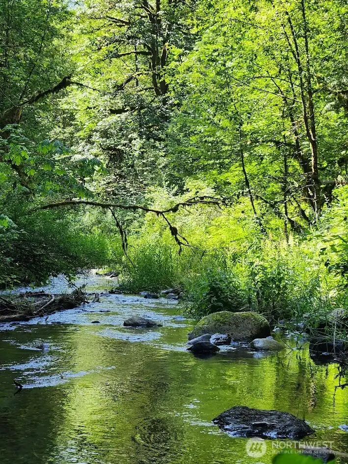 Beautiful year-round creek