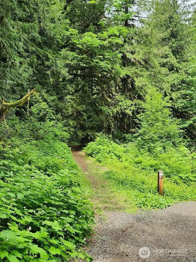 Stay to the Left