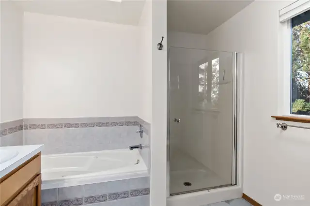 Primary bathroom with oversized tub and stand up shower.