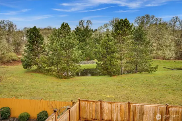 Enjoy luscious views from the primary bedroom, back deck, and kitchen sink—bringing in an abundance of natural light while offering a sense of privacy and tranquility.