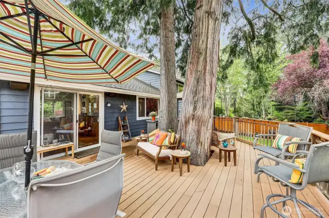 Dining opens to huge Trex deck lovingly built around 2 massive cedar trees.