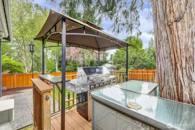Covered grill plumbed to natural gas.