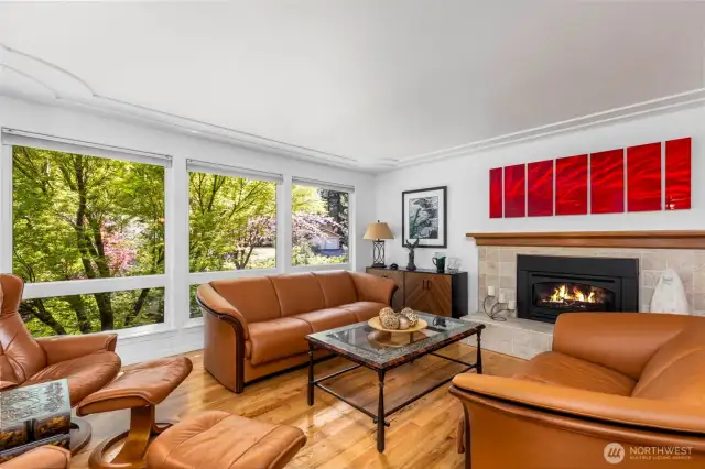 Living room with propane fireplace