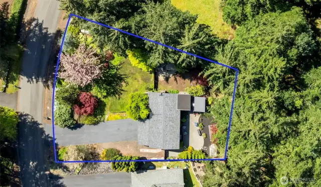 Spacious .37 acre lot! Lines are approximate