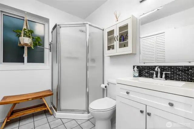 Lower level bathroom + laundry