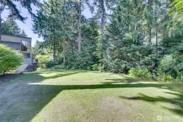 Plenty of yard to enjoy!