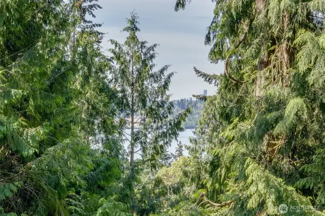 Enjoy stunning views of Lake Washington! It looks even better in person than in the pictures — come see it for yourself!