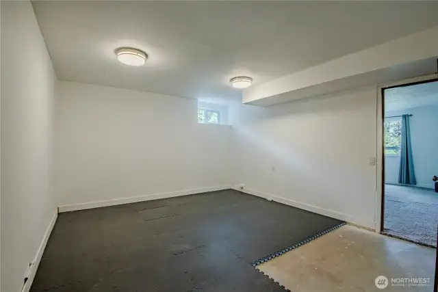 spacious 17 x 13 lower level room - perfect for a bedroom, office or hobby room!