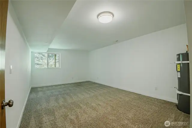 Huge 21 x 13 lower level flex room!