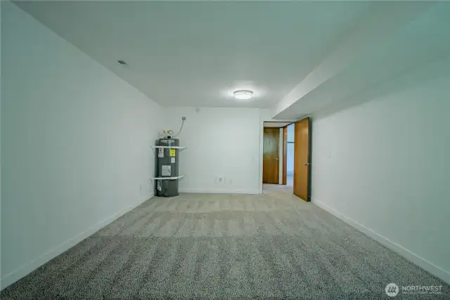Flex room has plumbing stubouts on far wall - could make a great kitchen space for a MIL unit with level entry from the exterior of home!!