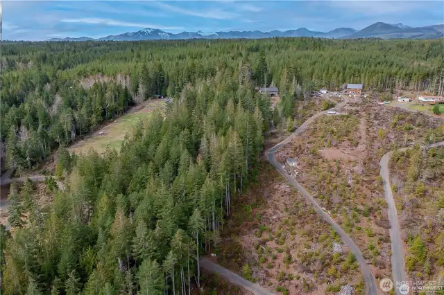 Sweeping views of Hood Canal with the Olympics as your backdrop
