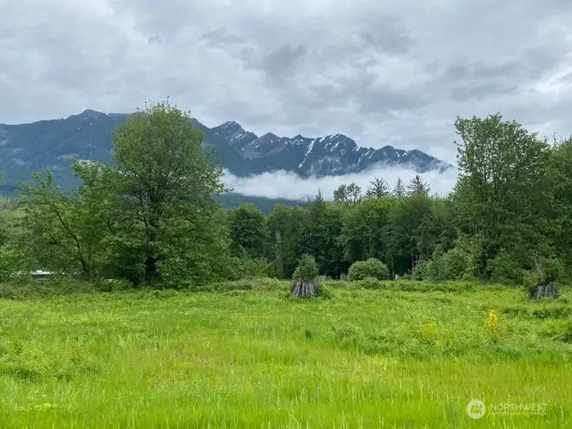 Field