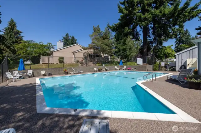 Plenty of space and chairs around this pool