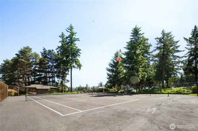 Tennis and pickle ball courts