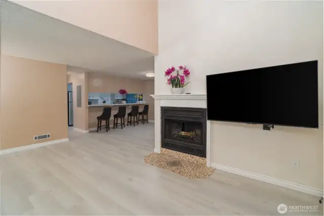 Living Room and Dining room and Fireplace picture.