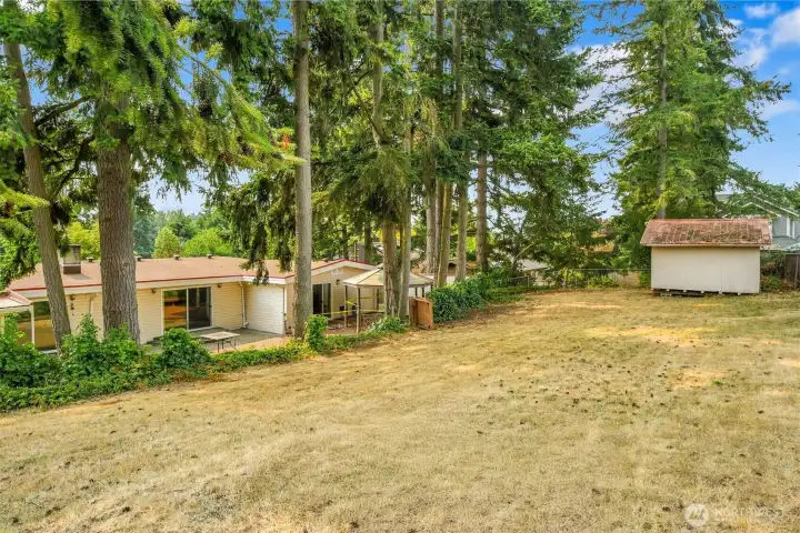 Upper tier of massive back yard.