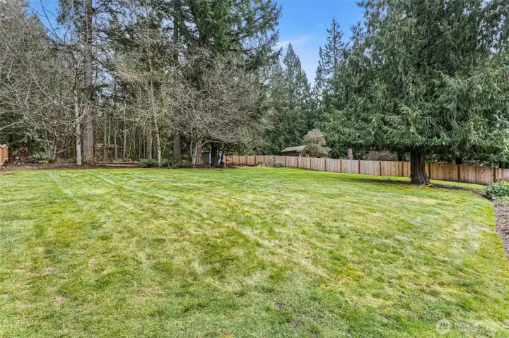 Fully fenced backyard