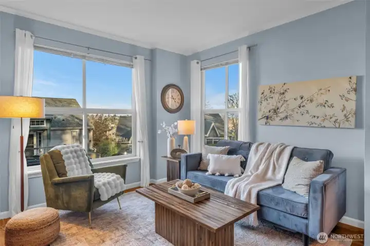 View over the neighborhood from living room.